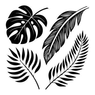 Dört siyah ve beyaz tropikal yaprak ve beyaz arka planda izole edilmiş bir tüy koleksiyonu.
