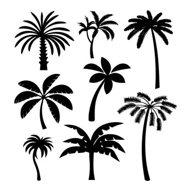 Beyaz arkaplanda izole edilmiş çeşitli palmiye ağacı siluetleri koleksiyonunun vektör sanatı