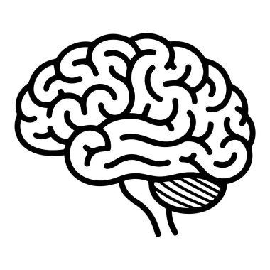 Beyaz arka planda izole edilmiş düşünce, zeka ve nörobilimi temsil eden insan beyninin siyah-beyaz çizimi.