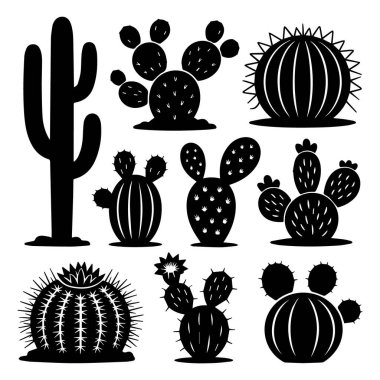 Çeşitli kaktüs ve sulu, farklı şekil ve boyutlarda, beyaz arka planda izole edilmiş.