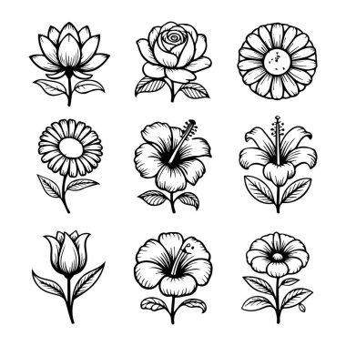 Beyaz bir arka planda, gül, nilüfer ve amber gibi çeşitli çiçeklerin yer aldığı el çizimleri.