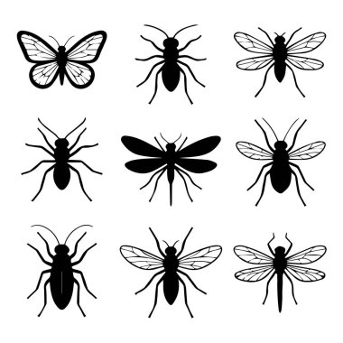 Beyaz bir arka planda kelebekler, böcekler, böcekler, yusufçuklar ve sinekler de dahil olmak üzere böcek siluetleri koleksiyonu