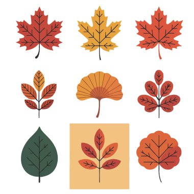Mevsimsel tasarım elementleri ve doğa temalı projeler için mükemmel, çeşitli şekil ve renklerde renkli sonbahar yaprakları koleksiyonu