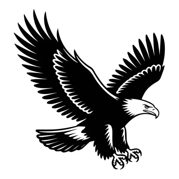 Görkemli kel kartal uçuyor, beyaz arka planda izole edilmiş.