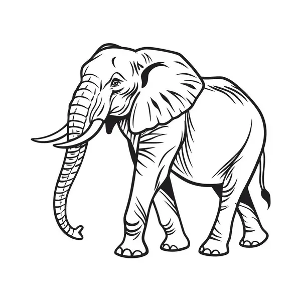 Beyaz bir arka planda izole edilmiş, gövdesi ve dişleri olan büyük bir memelinin, bir Afrika filinin çizimi.