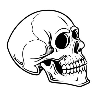 Profilde insan kafatasının detaylı bir grafik çizimi vektör sanatı, ölümlülüğü ve beyaz arka planda izole edilmiş zamanın geçişini sembolize ediyor.