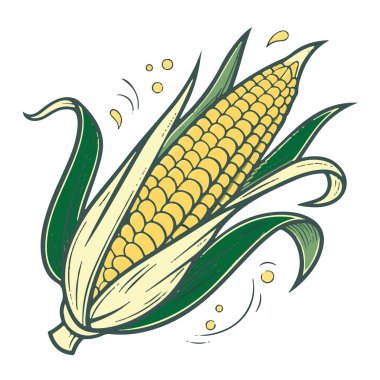 Yeşil kabuklu ve sarı çekirdekli taze bir mısır kabuğunun canlı bir çizimi, beyaz arka planda izole edilmiş.