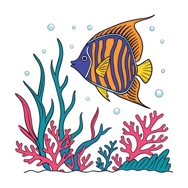 Canlı mercanlar ve deniz yosunları arasında yüzen renkli melek balıkları beyaz arka planda izole edilmiş berrak bir sualtı ortamında.