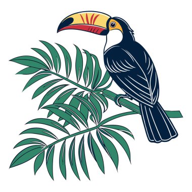 Canlı bir tukan, beyaz bir arka planda izole edilmiş yapraklı bir dala tünemiş büyük, renkli bir gagası var.