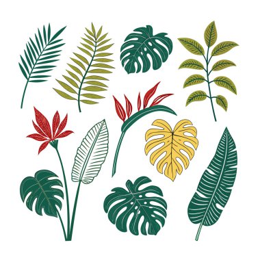 Beyaz arka planda izole edilmiş çeşitli tropikal yaprak ve bitkilerin toplanması