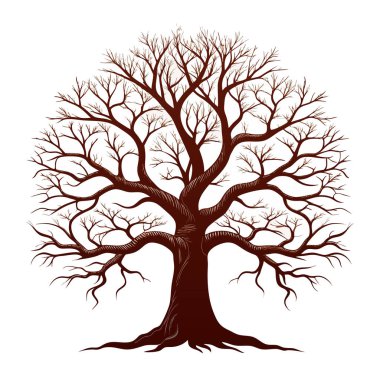 Karmaşık dalları ve kökleri olan çıplak ağaç, beyaz arka planda izole edilmiş, doğayı ve mevsimleri temsil ediyor.