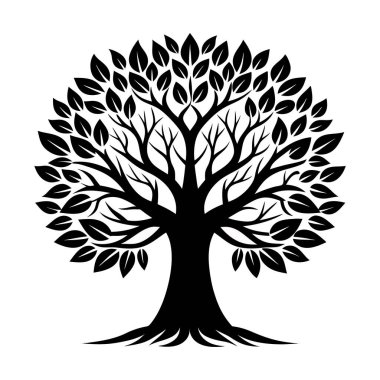 Beyaz arka planda izole edilmiş, dalları ve kökleri yayılmış bir ağacın silüeti.