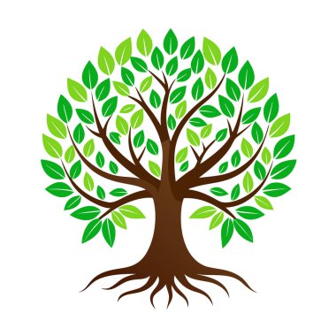 Bereketli yeşil yaprakları ve güçlü kökleri olan, doğayı, büyümeyi ve yaşamı temsil eden sağlıklı bir ağacın canlı bir örneği.