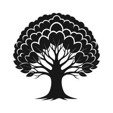 Kalp şeklinde yaprakları ve görünen kökleri beyaz arka planda izole siyah ve beyaz ağaçlar.