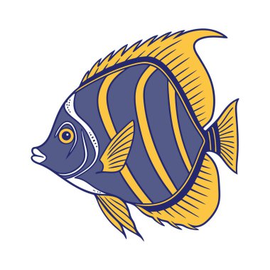 Canlı mavi ve sarı çizgili bir melek balığı okyanusta yüzüyor, beyaz bir arka planda izole edilmiş.