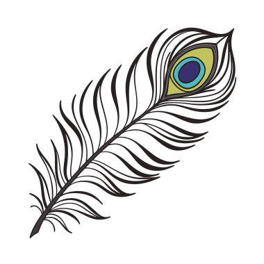 Beyaz bir arka planda izole edilmiş, kendine özgü bir göz deseni olan tek ve zarif bir tavus kuşu tüyü.