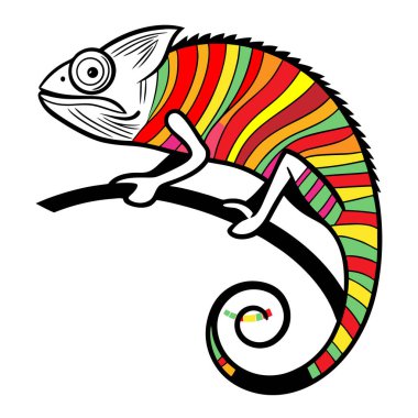 Siyah bir dala tünemiş renkli çizgili bukalemun, beyaz arka planda izole edilmiş.