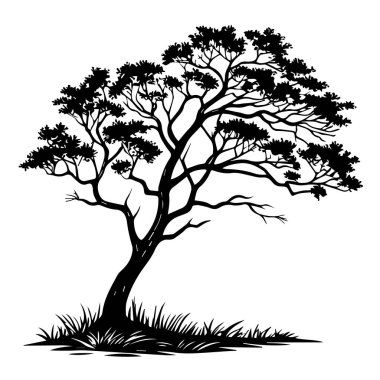 Biçimlendirilmiş ağaç silueti, temelinde çimenler olan, beyaz arka planda izole edilmiş.