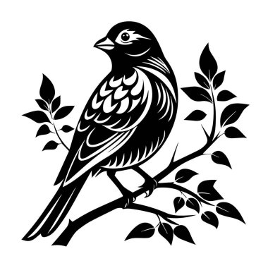 Beyaz bir arka planda, yapraklı bir dala tünemiş siyah beyaz bir kuşun tasviri.
