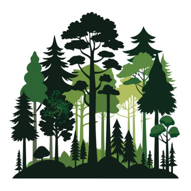 Beyaz arka planda izole edilmiş çeşitli ağaç ve bitkilerin ormanı