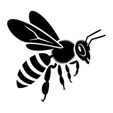 Beyaz arka planda izole edilmiş, uçan bir arı silueti.