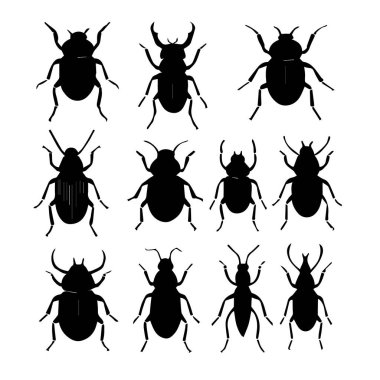 Beyaz arka planda izole edilmiş, çeşitli böcek şekilleri ve formları gösteren siyah böcek siluetleri koleksiyonu.