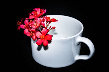 Siyah arka planda çiçekli bir fincan kahve, çiçekçide güzel bir çiçek, yakın plan -