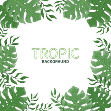 Beyaz arka planda tropik yaz yaprakları. Vektör illüstrasyonu