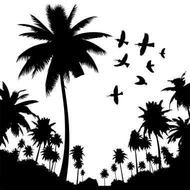 Palmiye ağaçlarının ve kuşların siluetleri. vektör illüstrasyonu.