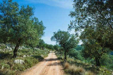 Buracas do Casmilo, Portekiz 'de doğal bir oluşum, kayalık bir yamaçta büyük mağaralar var. Bu mağaralar yemyeşil yapraklar ve zeytin ağaçlarının arasından geçen toprak bir patika ile bereketli bir araziye kurulmuştur. Işıklandırma şu şekilleri vurgular: 