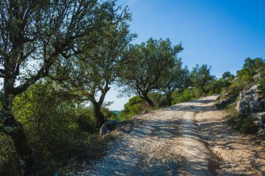 Buracas do Casmilo, Portekiz 'de doğal bir oluşum, kayalık bir yamaçta büyük mağaralar var. Bu mağaralar yemyeşil yapraklar ve zeytin ağaçlarının arasından geçen toprak bir patika ile bereketli bir araziye kurulmuştur. Işıklandırma şu şekilleri vurgular: 