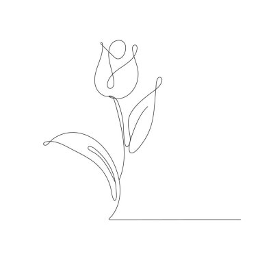 Lale boyama sayfaları. Lale çiçeği ana hat vektörü. Boyama kitabı için çiçek boyama sayfaları.