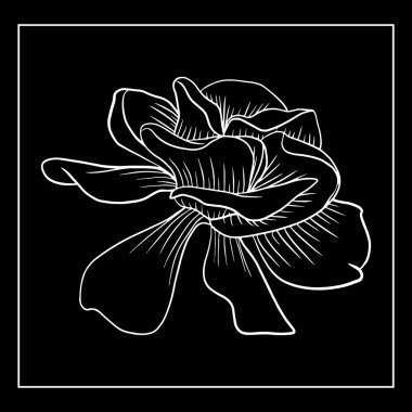 yaprakları ile vektör çizim çiçek