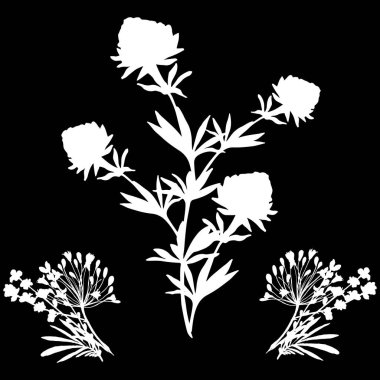 Siyah arkaplan çizim vektörü üzerinde uzun beyaz çiçekler.