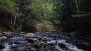 Borjomi, Georgia 'nın yoğun ormanlarındaki kayalık bir derenin üzerinden yavaş bir insansız hava aracı uçuşu..