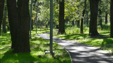 Parkın güzel manzarası