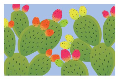 Dikenli armutlar ve kaktüsler güzel ve renkli vektör çizimleri 