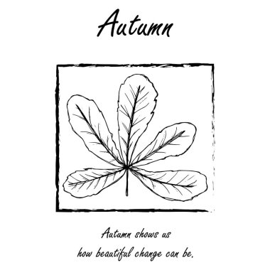 Sonbahar yapraklı botanik tebrik kartı. Mevsimlik poster, kartpostal, boyama sayfası, 