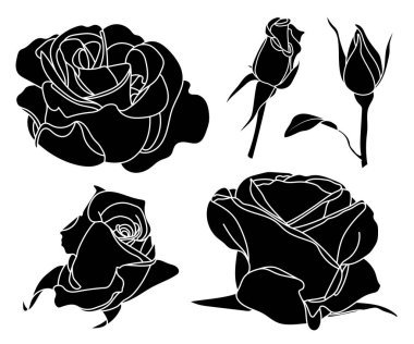 Basit bir gül silueti koleksiyonu. Yarı açık, yarı çiçekli, tamamen açık ve düğmeli. Siyah katı şekiller, beyaz üzerinde izole bir çizgi. Boyama kitabı sayfası, satır sanatı, illüstrasyon, dijital, kart, Valentine