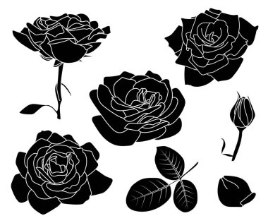 Güller siyah hat seti. Çeşitli çiçek şekilleri, tasarım elementleri. Tamamen açık, düğme, yapraklar, taç yaprağı. Siyah hat çizgisi, izole edilmiş. Boyama kitabı sayfası, satır sanatı, Valentine, aşk, dijital illüstrasyon