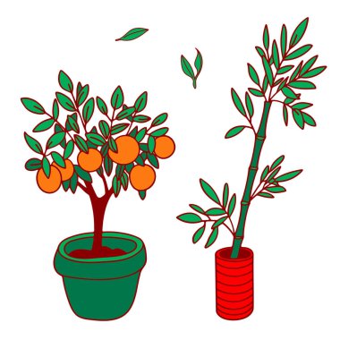 Dekoratif bitkiler. Bambu filizi, portakal ağacı. Basit ikonlar. İç tasarım için botanik çizimler, çiçekçi afişleri, çıkartmalar, Ay 'ın yeni yıl dekorasyonu, logolar, web, dijital tasarım unsurları