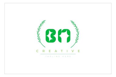 BN harfleri yapraklı eko logo. Taze doğa ve sağlıklı yaprak logosu tasarımı.