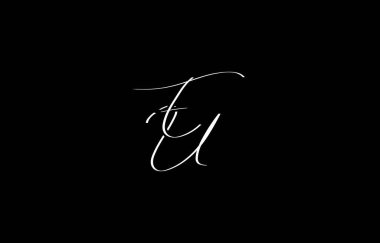 A minimal yet stylish depiction of white cursive lettering forming EU on a dark background, symbolizing elegance and simplicity. clipart