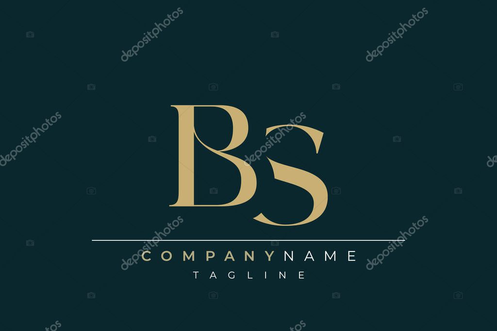Elegant Monogram with Sophisticated Typography Design Featuring BS with Sophisticated Typography