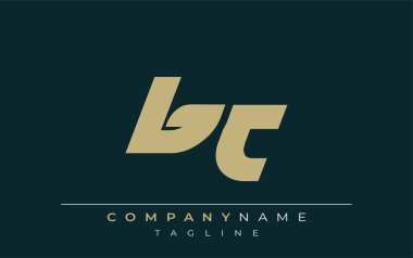 BT Sleek Geometrik Logo Tasarımı. Tarafsız renkler ve minimalist stil markalaşma ve kurumsal kimlik için uygun profesyonel ve çağdaş bir izlenim yaratır..