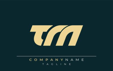 TM Sleek Geometrik Logo Tasarımı. Tarafsız renkler ve minimalist stil markalaşma ve kurumsal kimlik için uygun profesyonel ve çağdaş bir izlenim yaratır..