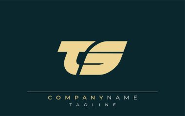 TS Parlak Geometrik Logo Tasarımı. Tarafsız renkler ve minimalist stil markalaşma ve kurumsal kimlik için uygun profesyonel ve çağdaş bir izlenim yaratır..