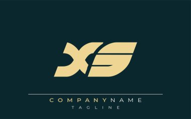 XS Sleek Geometrik Logo Tasarımı. Tarafsız renkler ve minimalist stil markalaşma ve kurumsal kimlik için uygun profesyonel ve çağdaş bir izlenim yaratır..