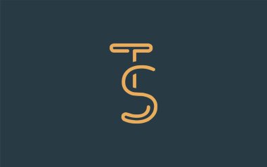 TS Minimalist Çizgi Sanat Logosu Tasarımı ve Soyut Harfler. Gösterişli bir sanat tarzına sahip soyut minimalist logo tasarımı.