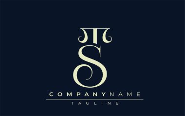 ST soyut logosu. Zarif Tasarlanmış Minimalist Monogram Logosu ve Şık Harfler. Sofistike ve gösterişli minimalist monogram benzersiz harf dizaynı.